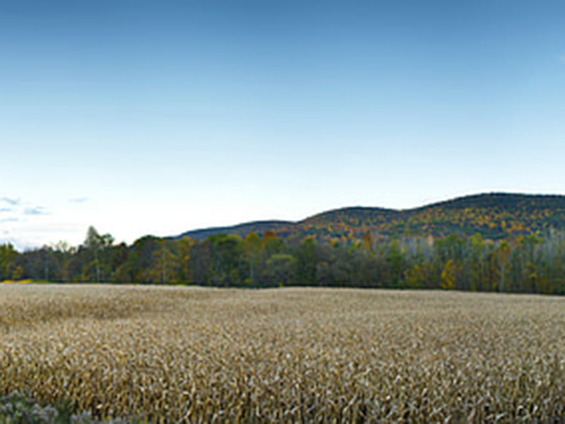 測(cè)定植物的營(yíng)養(yǎng)，為農(nóng)戶取得更大效益