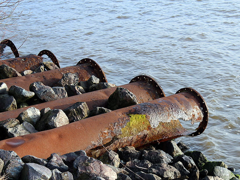水質(zhì)生物毒性在線分析儀具備哪些特點