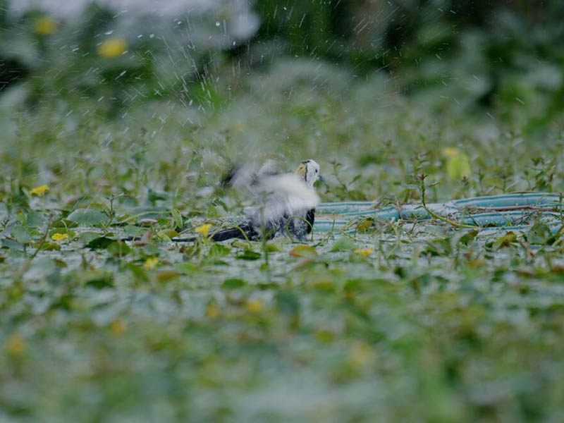 總氮水質(zhì)在線自動(dòng)監(jiān)測(cè)儀原理