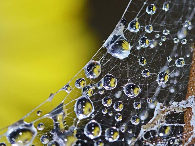 氨氮檢測(cè)儀使用常見故障