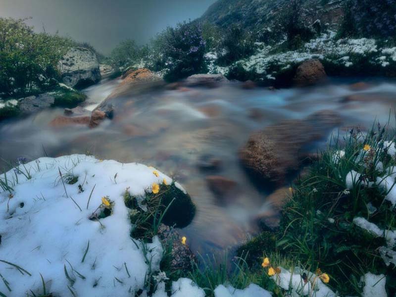 COD在污水廠的核心作用（COD的控制策略）