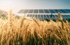 土壤養(yǎng)分分析儀促進(jìn)農(nóng)業(yè)進(jìn)步